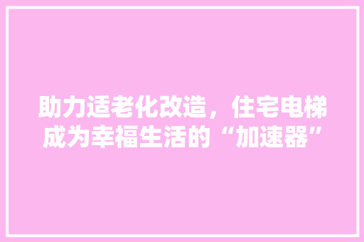 助力适老化改造，住宅电梯成为幸福生活的“加速器” 庭院装修