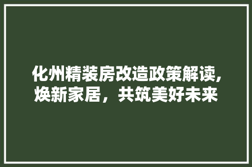 化州精装房改造政策解读,焕新家居，共筑美好未来