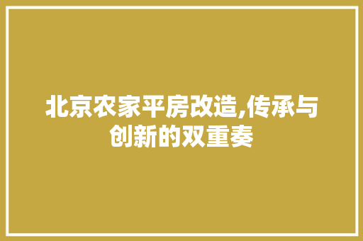 北京农家平房改造,传承与创新的双重奏
