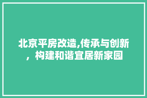 北京平房改造,传承与创新,构建和谐宜居新家园 墙面装饰 北京平房改造,传承与创新,构建和谐宜居新家园 墙面装饰
