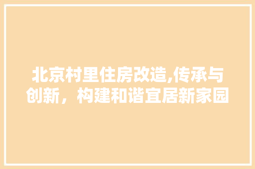 北京村里住房改造,传承与创新，构建和谐宜居新家园 景观设计
