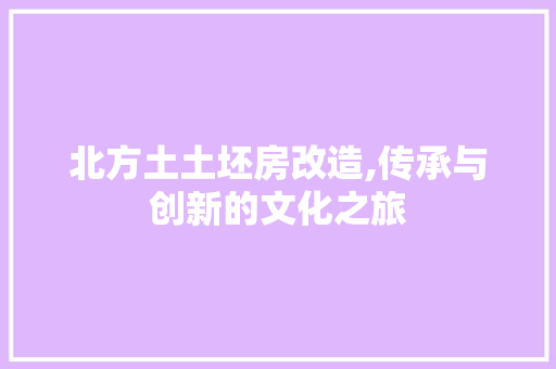 北方土土坯房改造,传承与创新的文化之旅 门窗装修
