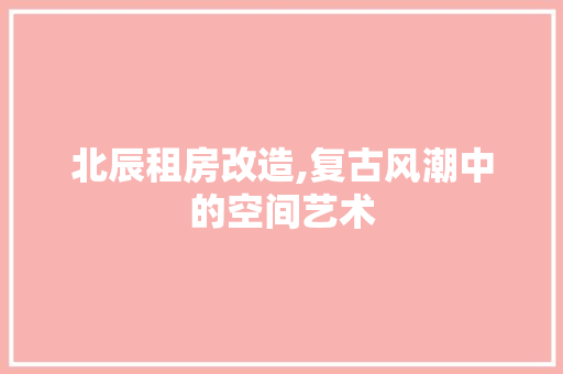 北辰租房改造,复古风潮中的空间艺术 门窗装修