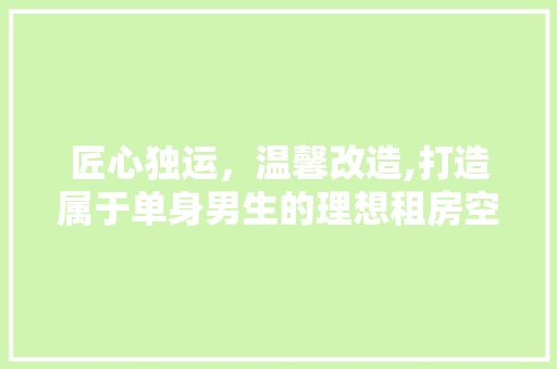 匠心独运，温馨改造,打造属于单身男生的理想租房空间 地面装修