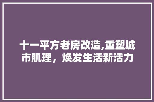 十一平方老房改造,重塑城市肌理，焕发生活新活力 建筑设计