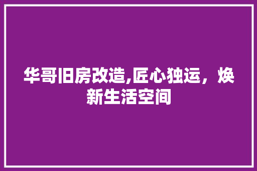 华哥旧房改造,匠心独运，焕新生活空间 隔断设计