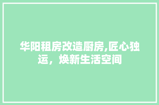华阳租房改造厨房,匠心独运,焕新生活空间 门窗装修 华阳租房改造厨房,匠心独运,焕新生活空间 门窗装修