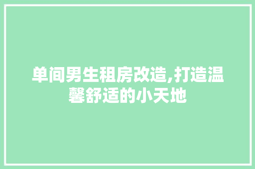 单间男生租房改造,打造温馨舒适的小天地