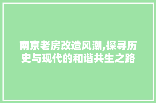 南京老房改造风潮,探寻历史与现代的和谐共生之路 景观设计