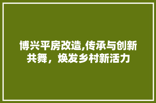 博兴平房改造,传承与创新共舞，焕发乡村新活力