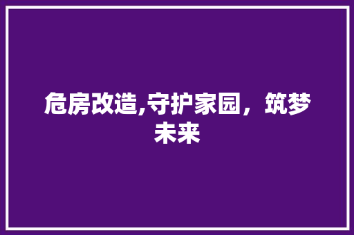 危房改造,守护家园，筑梦未来