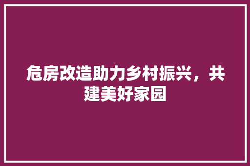 危房改造助力乡村振兴，共建美好家园