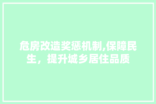 危房改造奖惩机制,保障民生，提升城乡居住品质