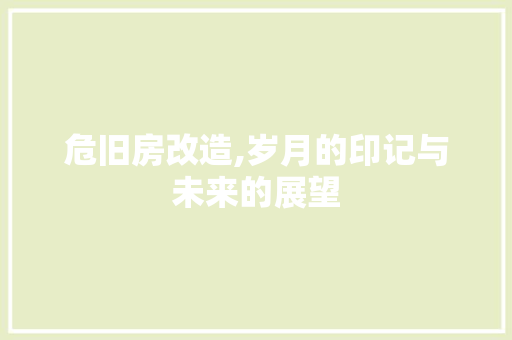 危旧房改造,岁月的印记与未来的展望 墙面装饰