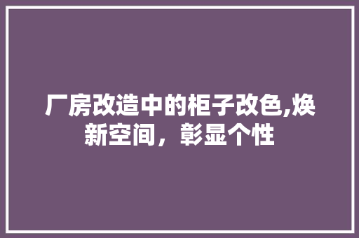 厂房改造中的柜子改色,焕新空间，彰显个性 装修材料