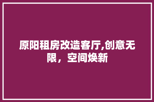 原阳租房改造客厅,创意无限，空间焕新
