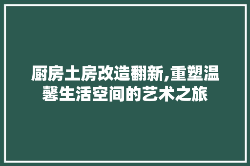 厨房土房改造翻新,重塑温馨生活空间的艺术之旅