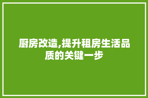 厨房改造,提升租房生活品质的关键一步