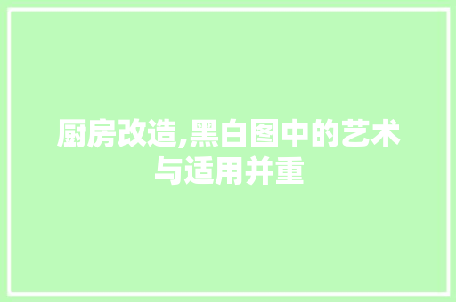 厨房改造,黑白图中的艺术与适用并重 装修材料