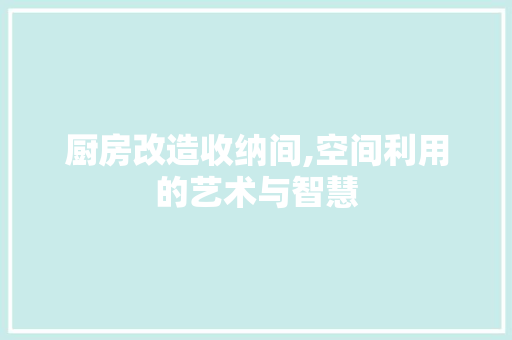 厨房改造收纳间,空间利用的艺术与智慧