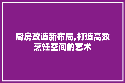 厨房改造新布局,打造高效烹饪空间的艺术
