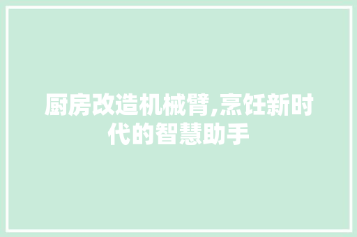 厨房改造机械臂,烹饪新时代的智慧助手