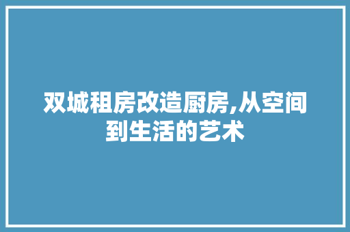 双城租房改造厨房,从空间到生活的艺术