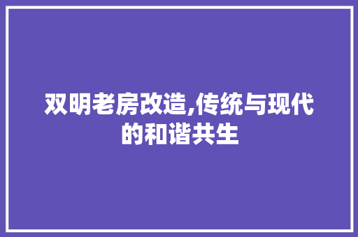 双明老房改造,传统与现代的和谐共生 景观设计