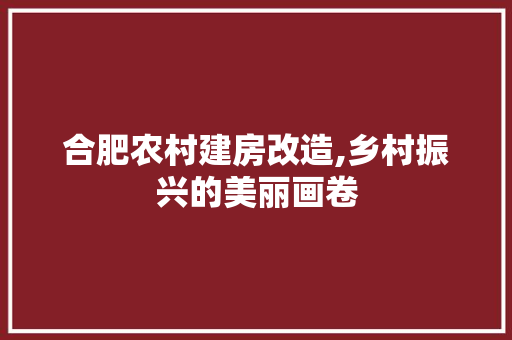 合肥农村建房改造,乡村振兴的美丽画卷 墙面装饰