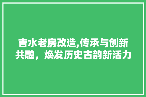 吉水老房改造,传承与创新共融，焕发历史古韵新活力 装修攻略