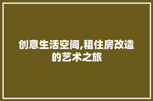 创意生活空间,租住房改造的艺术之旅