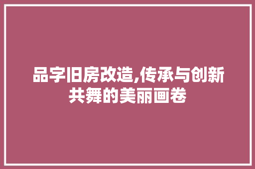 品字旧房改造,传承与创新共舞的美丽画卷 墙面装饰