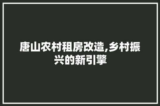 唐山农村租房改造,乡村振兴的新引擎