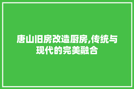 唐山旧房改造厨房,传统与现代的完美融合 装修攻略