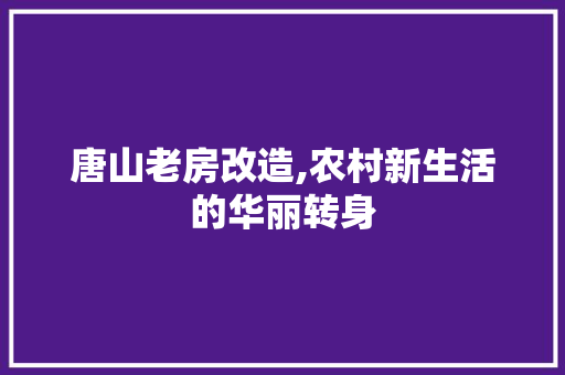 唐山老房改造,农村新生活的华丽转身 庭院装修