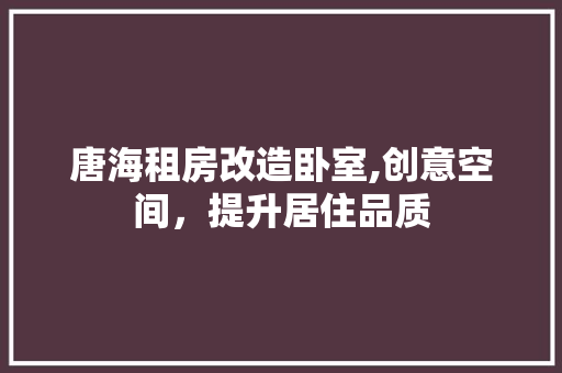 唐海租房改造卧室,创意空间，提升居住品质 墙面装饰