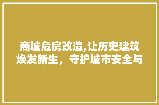 商城危房改造,让历史建筑焕发新生，守护城市安全与发展 景观设计