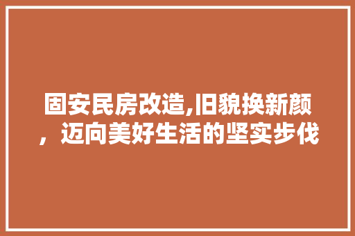 固安民房改造,旧貌换新颜，迈向美好生活的坚实步伐 墙面装饰