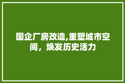 国企厂房改造,重塑城市空间，焕发历史活力
