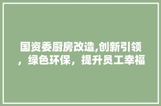 国资委厨房改造,创新引领，绿色环保，提升员工幸福感