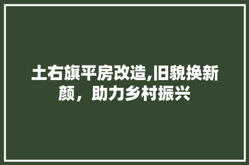 土右旗平房改造,旧貌换新颜，助力乡村振兴 装修材料