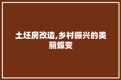 土坯房改造,乡村振兴的美丽蝶变