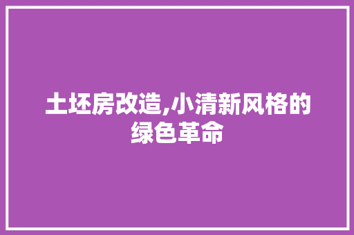 土坯房改造,小清新风格的绿色革命 墙面装饰