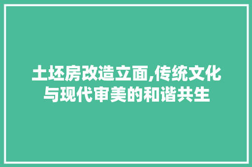 土坯房改造立面,传统文化与现代审美的和谐共生 庭院装修 土坯房改造立面,传统文化与现代审美的和谐共生 庭院装修