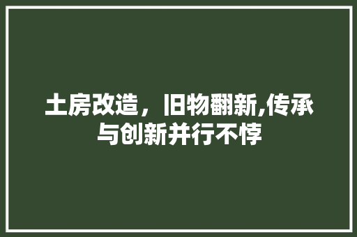 土房改造，旧物翻新,传承与创新并行不悖 隔断设计