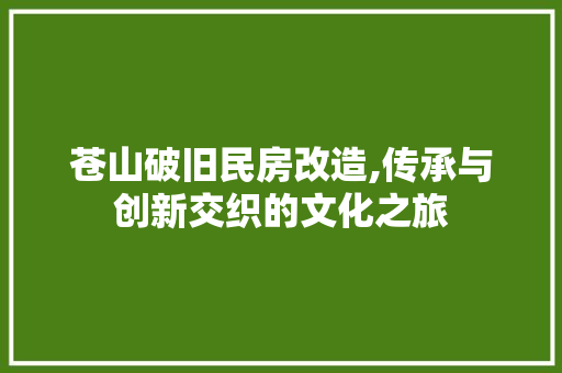 苍山破旧民房改造,传承与创新交织的文化之旅