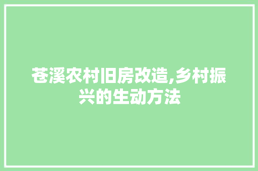 苍溪农村旧房改造,乡村振兴的生动方法 地面装修