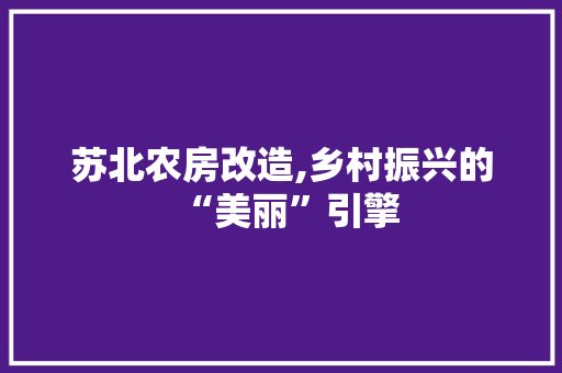 苏北农房改造,乡村振兴的“美丽”引擎