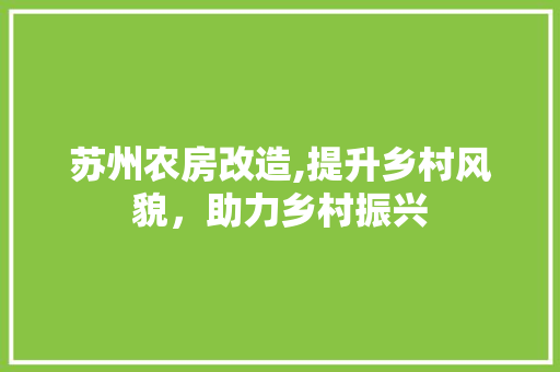 苏州农房改造,提升乡村风貌，助力乡村振兴 门窗装修