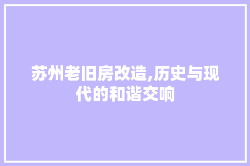 苏州老旧房改造,历史与现代的和谐交响 墙面装饰